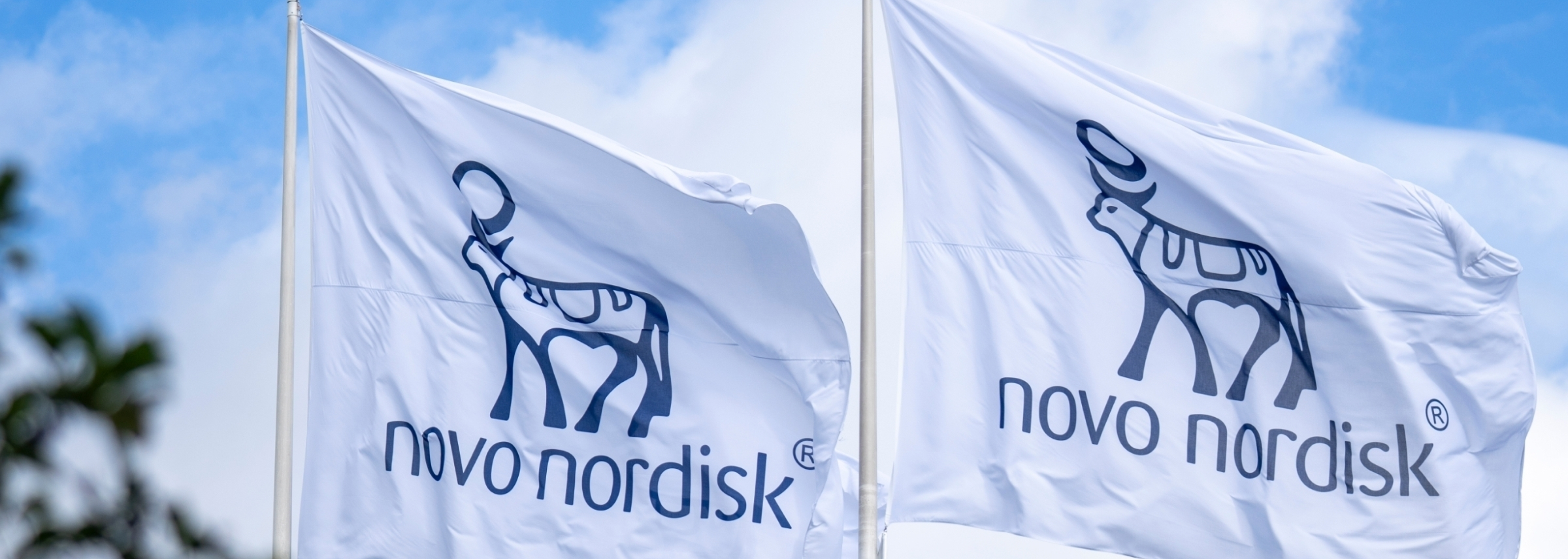 Novo Nordisk: einde aan samenwerking met Telehealth, data over Amylin drukken waardering